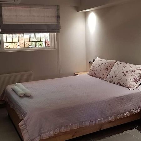 Lefkaditika Luxury Apartment 普雷韦扎 外观 照片