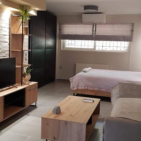 Lefkaditika Luxury Apartment 普雷韦扎 外观 照片