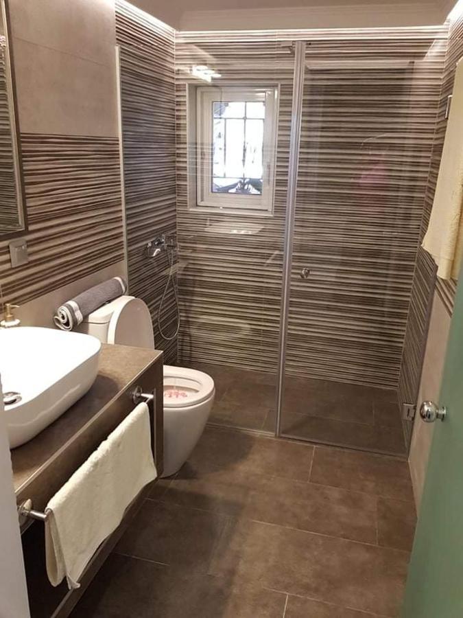 Lefkaditika Luxury Apartment 普雷韦扎 外观 照片