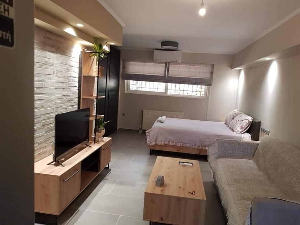 Lefkaditika Luxury Apartment 普雷韦扎 外观 照片