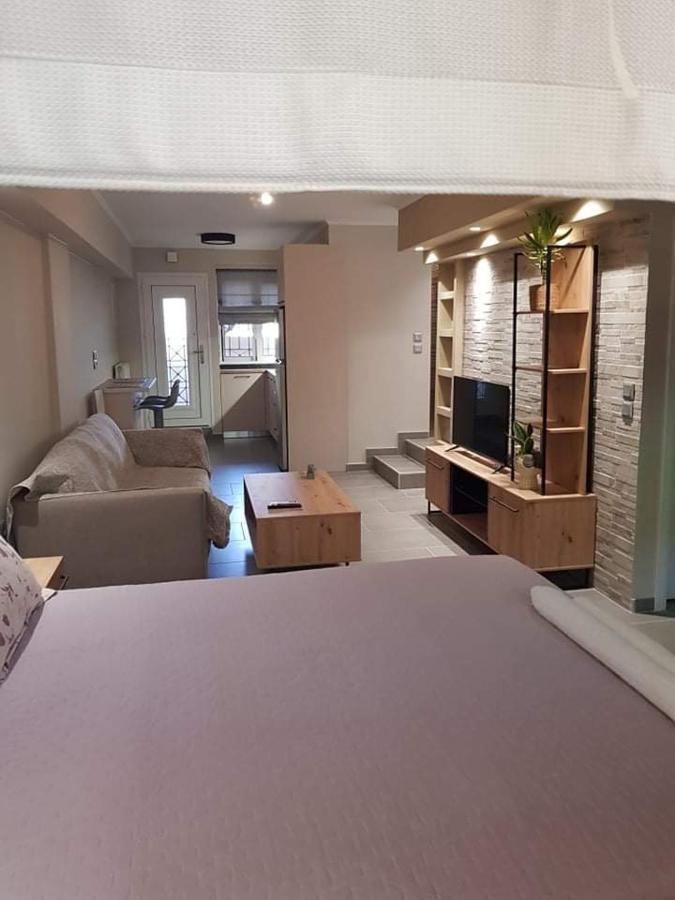 Lefkaditika Luxury Apartment 普雷韦扎 外观 照片