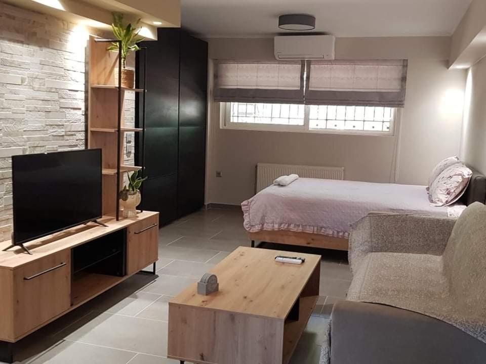 Lefkaditika Luxury Apartment 普雷韦扎 外观 照片